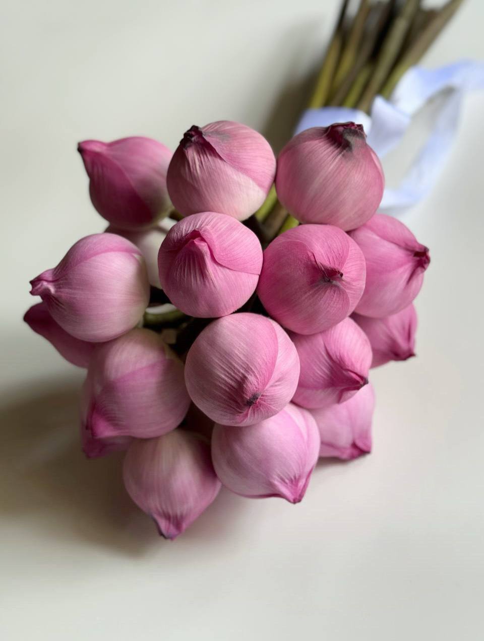 Тропическая экзотика